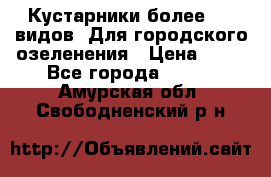 Кустарники более 100 видов. Для городского озеленения › Цена ­ 70 - Все города  »    . Амурская обл.,Свободненский р-н